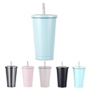 25oz Stainless Steel Double Wall Tumbler With Straw